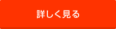 詳しく見る